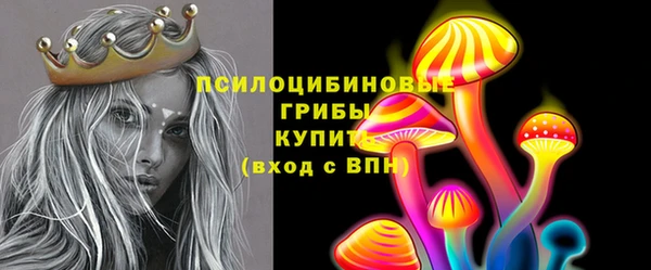 ПСИЛОЦИБИНОВЫЕ ГРИБЫ Володарск