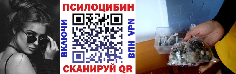 Купить где  Тбилисская  Галлюциногенные грибы мицелий 