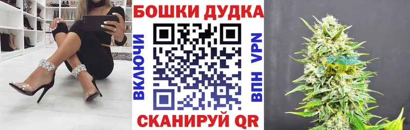 Каннабис OG Kush  Купить где  Тбилисская 